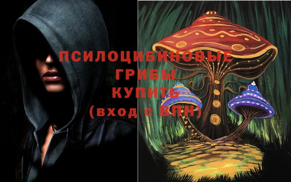 стаф Вязники